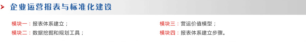 企業運營報表與標準化建設