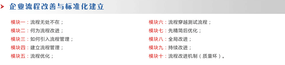 企業流程改善與標準化建立